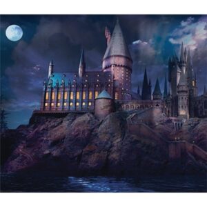 Hogwarts castle poster