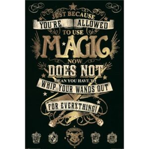 Quote Magic Whip Your Wands Out 537 poster